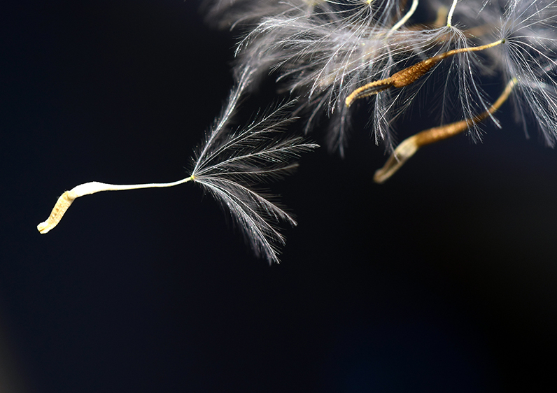 Summit: 30 June – Panel Announcement