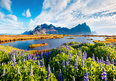 Summer 2023 Summit: Schedule