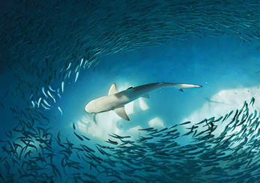 Illegal Money Lending Report