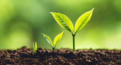 Regulation of BNPL – an update