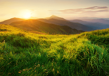 Spring 2024 Summit: Booking now open