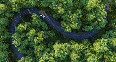 What’s happening in the motor finance market?