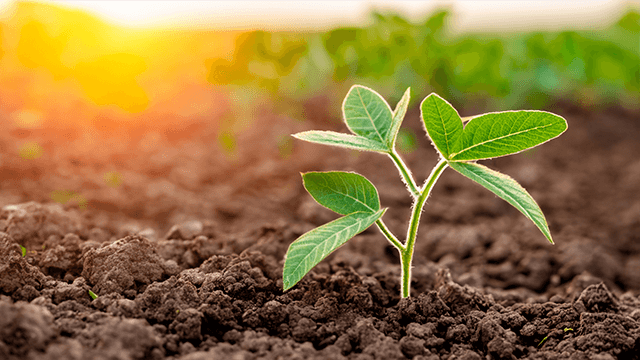 HM Treasury publishes action plan on regulation – aims to support growth