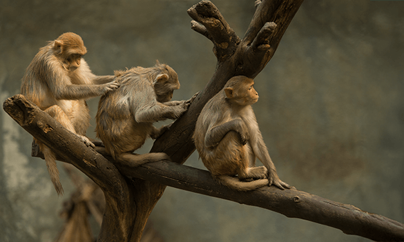 Stay vigilant: Strengthen your AML compliance