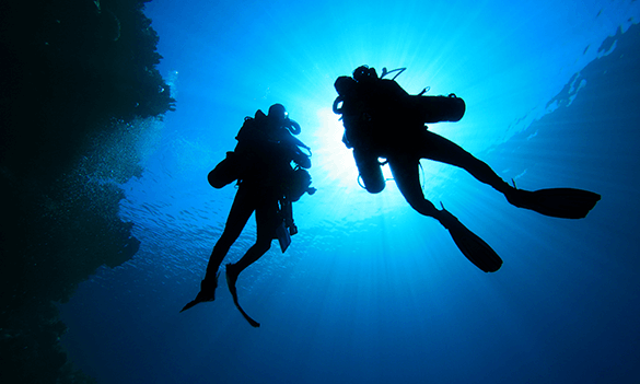 CCTA 2025 Conference: Feedback