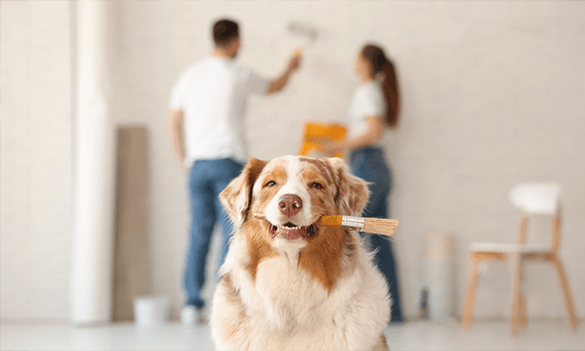 Regulatory News: 29 October 2025