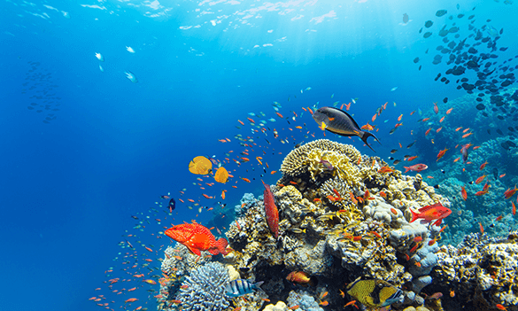 CCTA 2025 Annual Conference: A day of insight, innovation, and industry collaboration