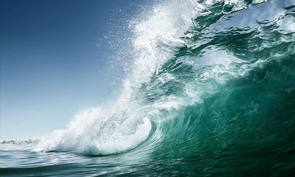 Building connections, gaining momentum: My first year as Membership Manager