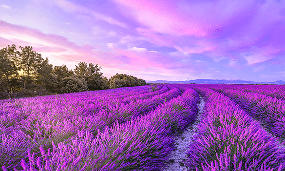 CCTA Roundtable: Horizon Scan