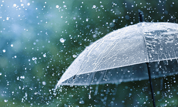 Regulatory News: <br>25 February 2026