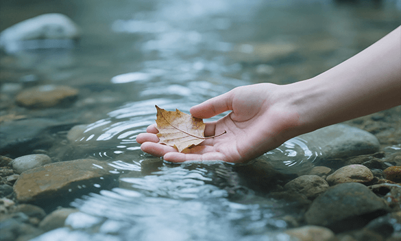 The new complaints reporting process – Last chance to book