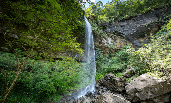 Look before you leap: AI in credit decisioning