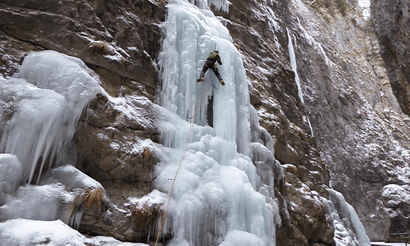 Challenging terrain: Motor finance redress and the appointed representatives consultation