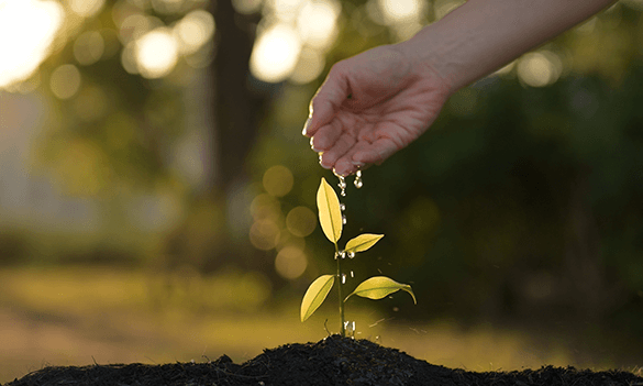 Jason Wassell announced as MALG Ambassador