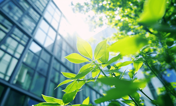 Improving the complaints ecosystem: Getting claims management right