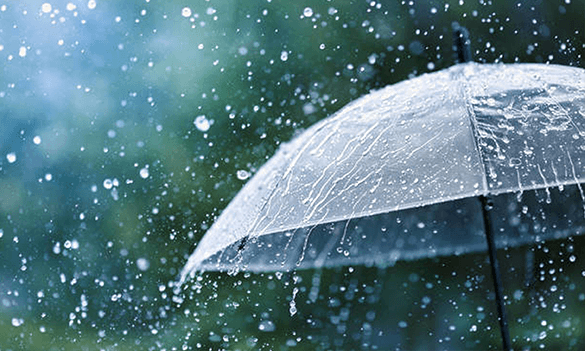 Regulatory News: <br>1July 2026