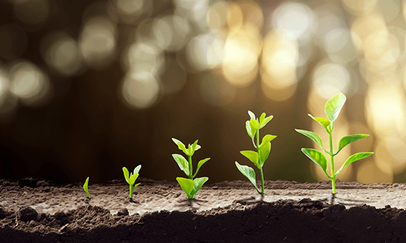 Regulatory News: <br>12 August 2026