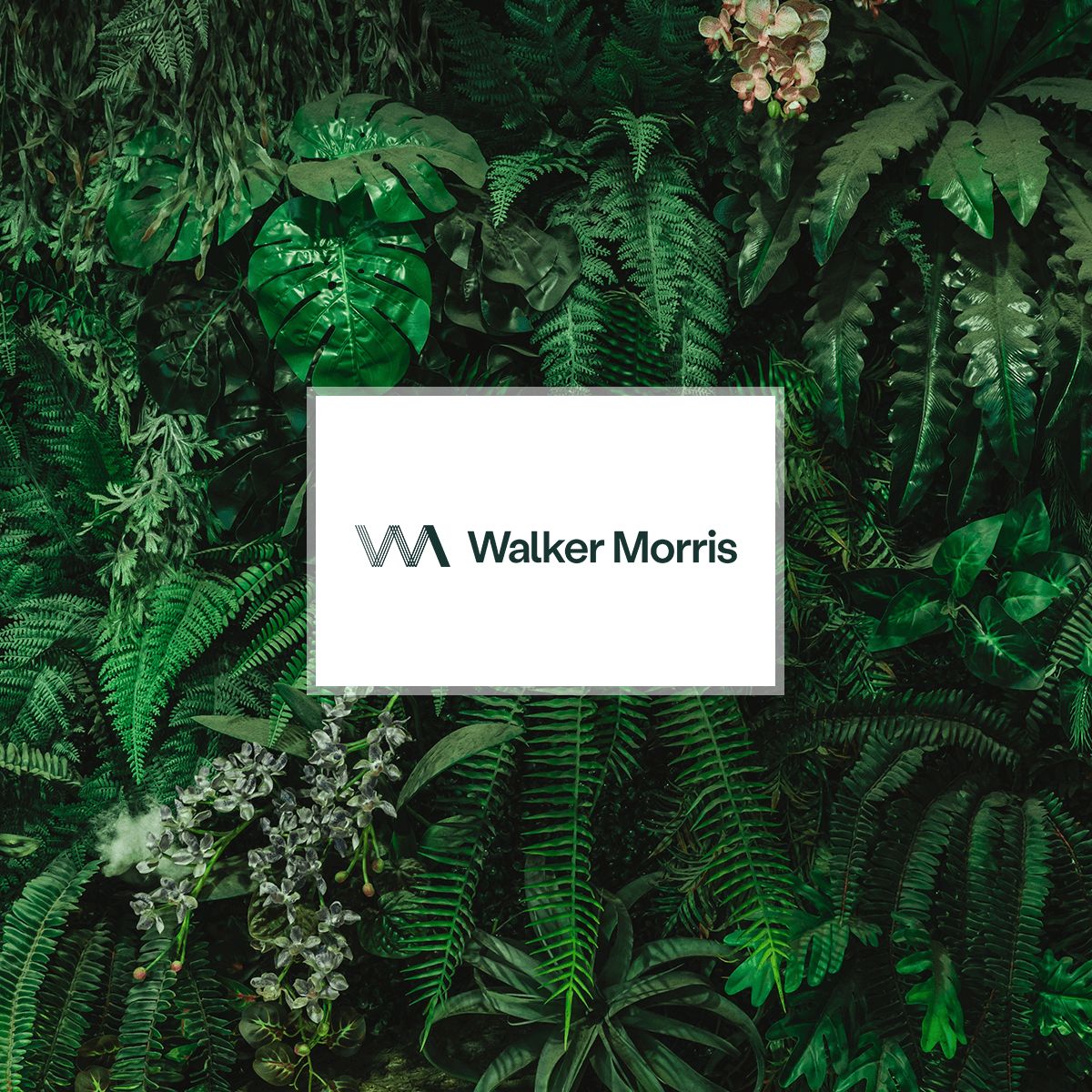 https://www.ccta.co.uk/wp-content/uploads/2026/08/walker-morris-v3.png